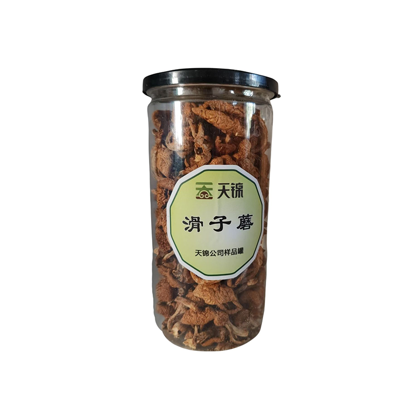 滑子菇