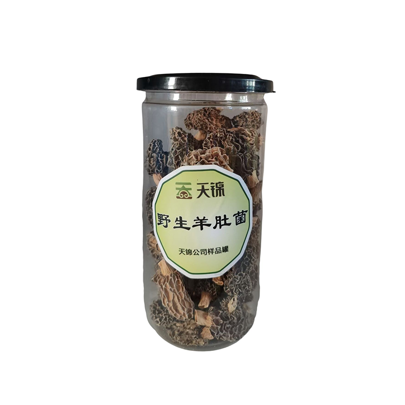 野生羊肚菌