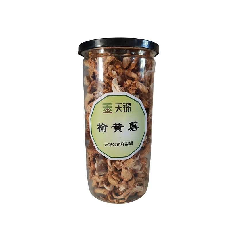榆黄蘑