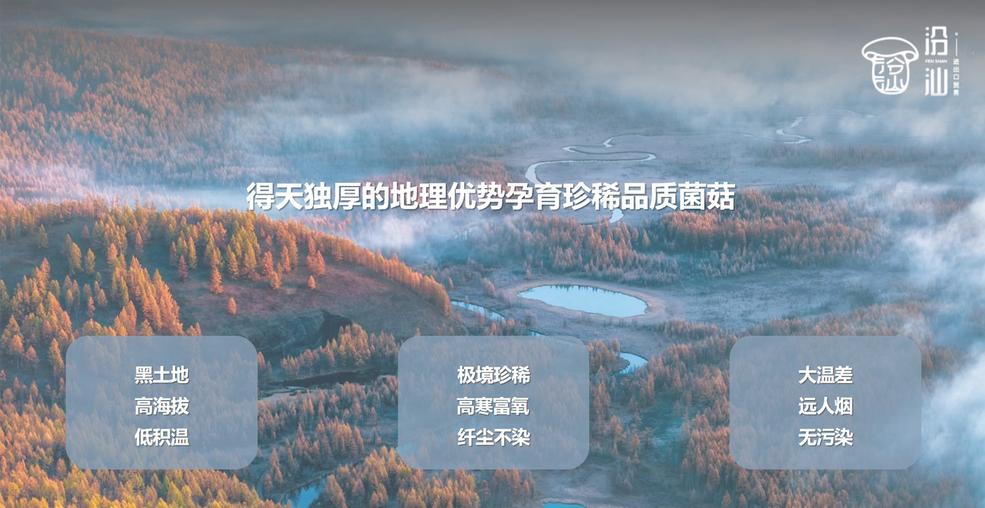 通栏图片