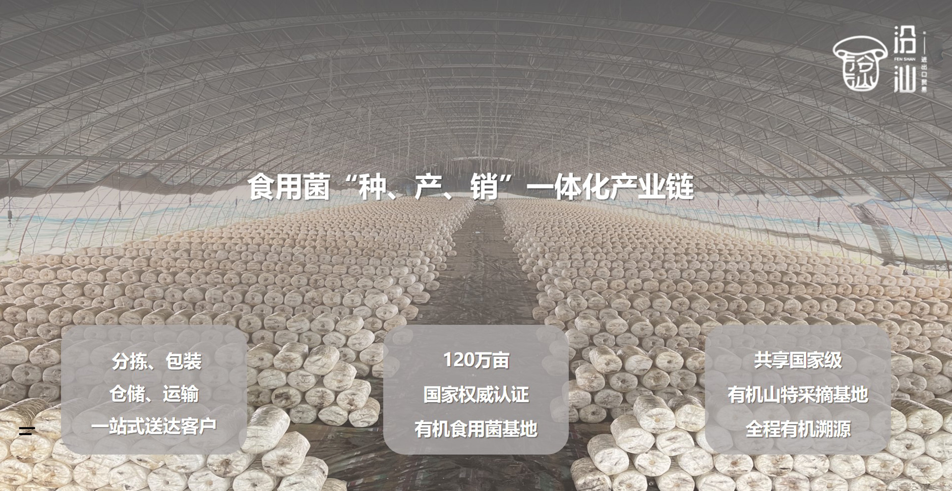 通栏图片